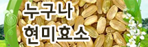 누구나현미효소
